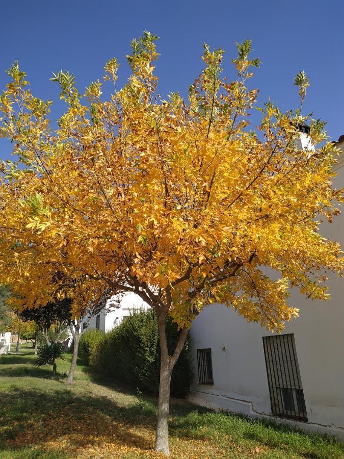 La Casa De Elias Holiday home Aracena